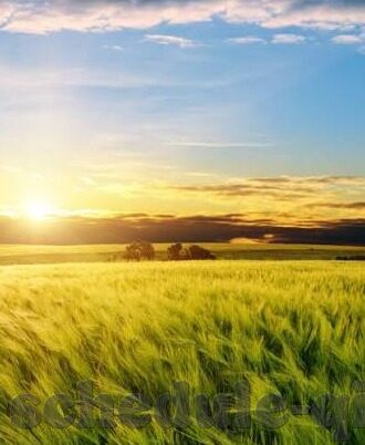 百家乐各种投注法-百家乐，解锁多样投注策略