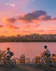 竞猜足球比分直-竞猜足球比分，一场充满未知与激情的数字博弈